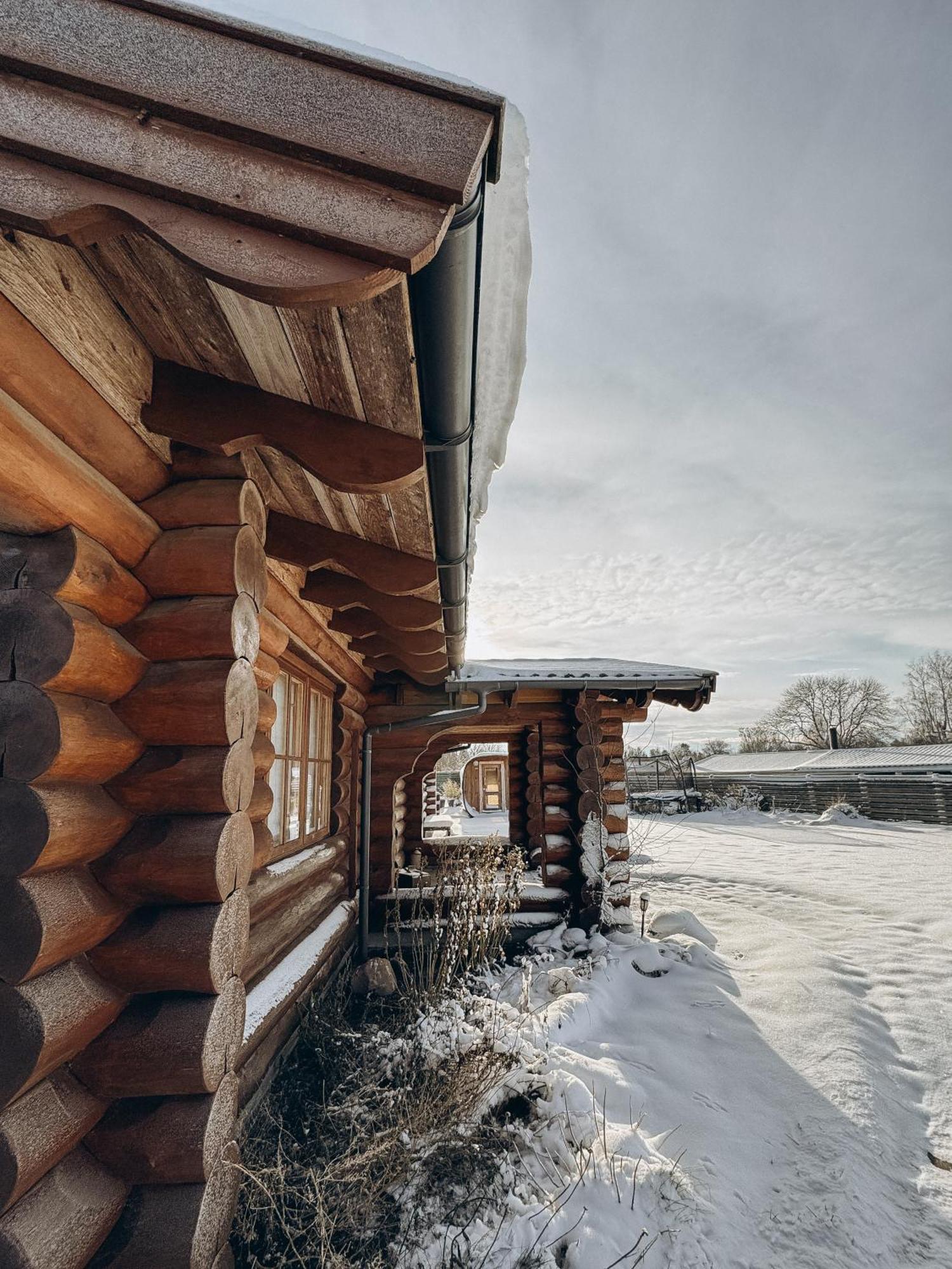 Fjordhygge - Authentic Wood Log Cabin Summerhouse Near Water, Fjord And Forest Jægerspris エクステリア 写真