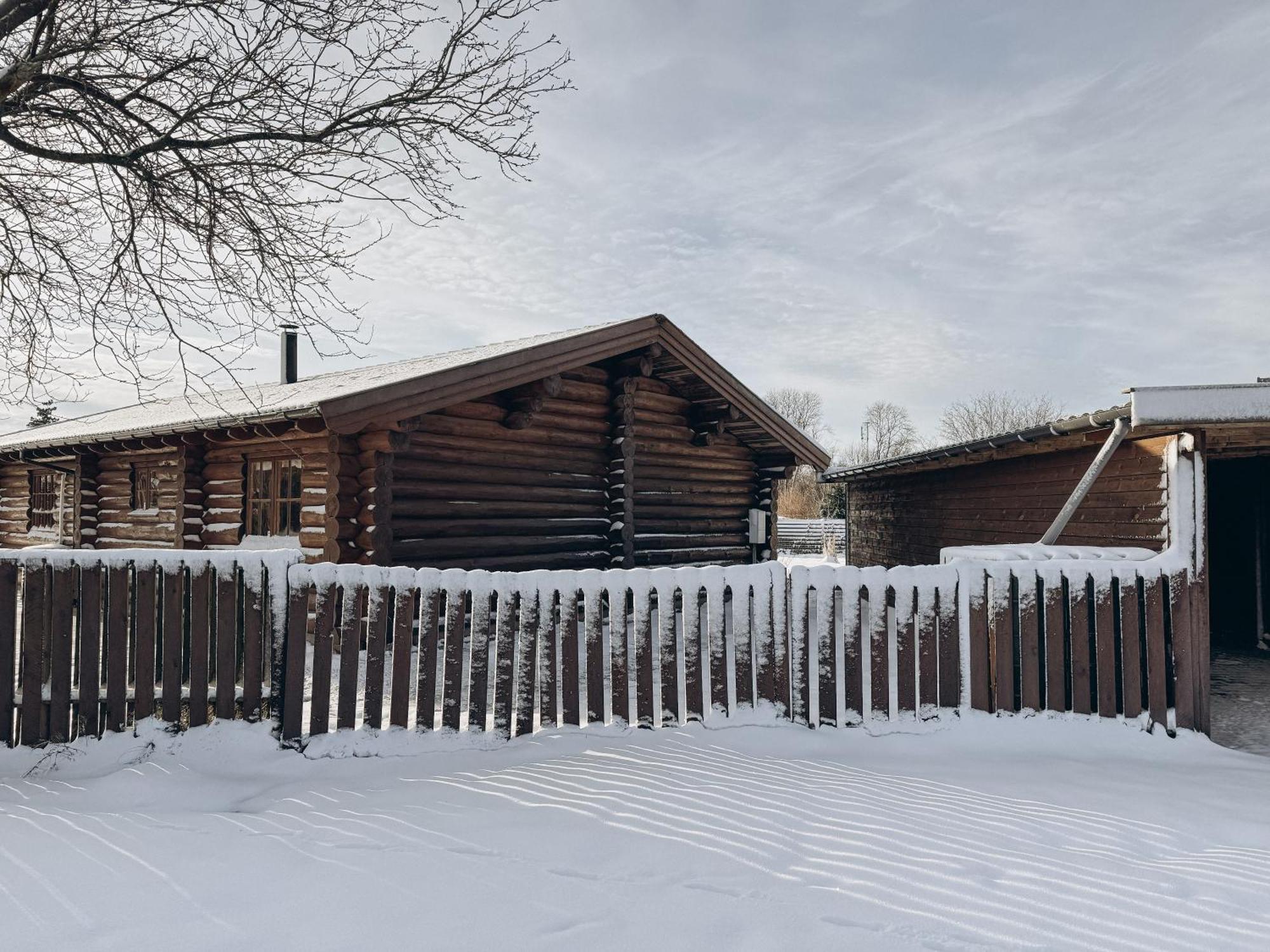 Fjordhygge - Authentic Wood Log Cabin Summerhouse Near Water, Fjord And Forest Jægerspris エクステリア 写真